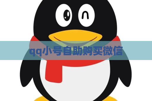 qq小号自助购买微信