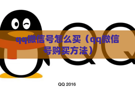 qq微信号怎么买（qq微信号购买方法）