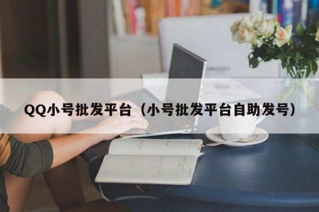 QQ小号批发平台（小号批发平台自助发号）