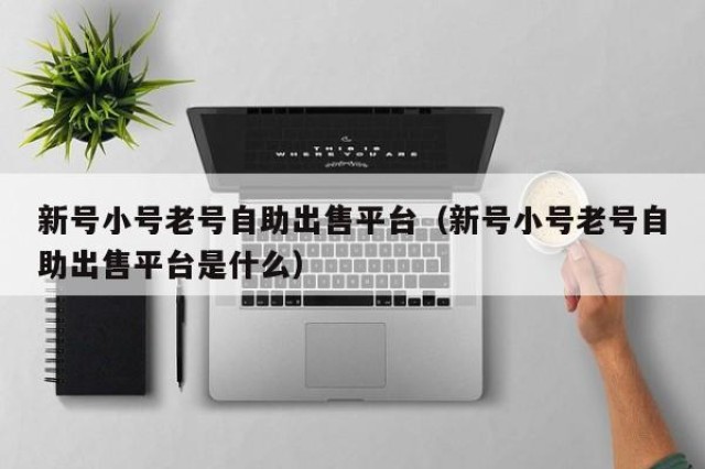 新号小号老号自助出售平台（新号小号老号自助出售平台是什么）